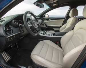 Kia Stinger blue details  (7)